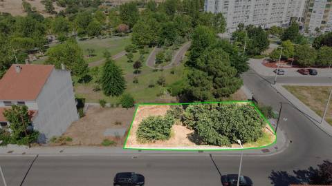 Terreno Para Construção  Venda em Castelo Branco,Castelo Branco