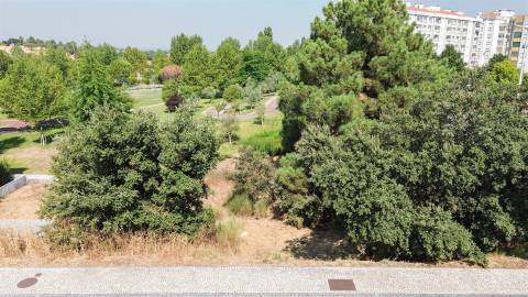 Terreno Para Construção  Venda em Castelo Branco,Castelo Branco