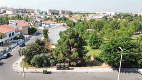 Terreno Para Construção  Venda em Castelo Branco,Castelo Branco