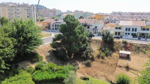 Terreno Para Construção  Venda em Castelo Branco,Castelo Branco