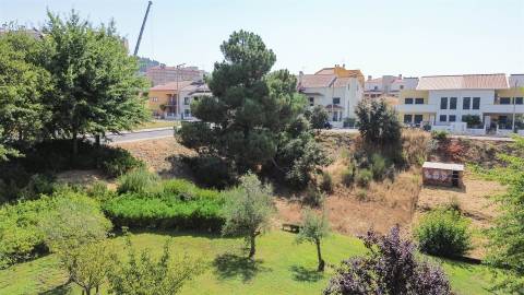 Terreno Para Construção  Venda em Castelo Branco,Castelo Branco