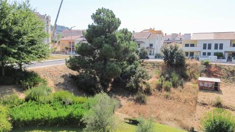 Terreno Para Construção  Venda em Castelo Branco,Castelo Branco
