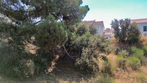 Terreno Para Construção  Venda em Castelo Branco,Castelo Branco