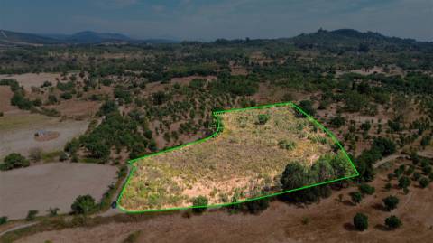 Terreno Rústico em Penamacor