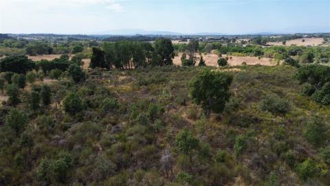 Terreno Rústico em Penamacor