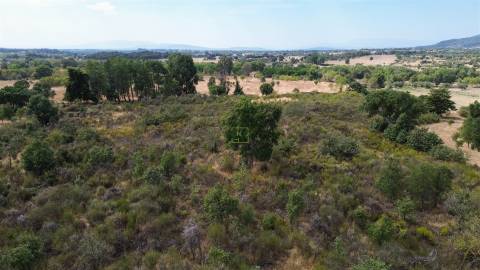 Terreno Rústico em Penamacor