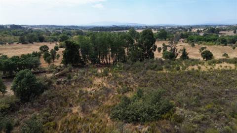 Terreno Rústico em Penamacor