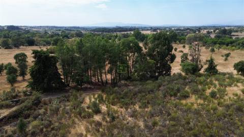 Terreno Rústico em Penamacor