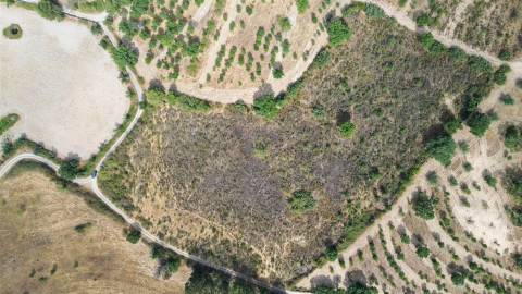 Terreno Rústico em Penamacor