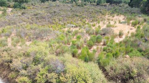 Terreno Rústico em Penamacor