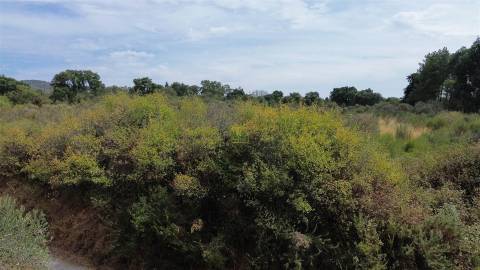 Terreno Rústico em Penamacor
