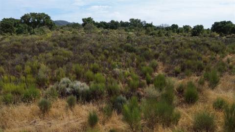 Terreno Rústico em Penamacor