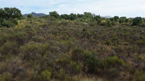 Terreno Rústico em Penamacor