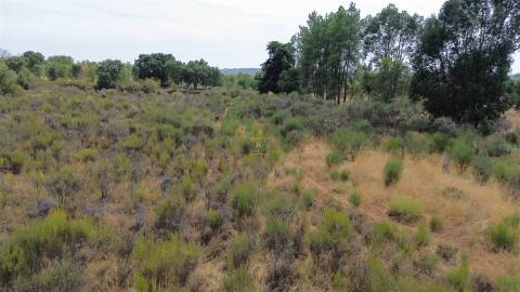 Terreno Rústico em Penamacor
