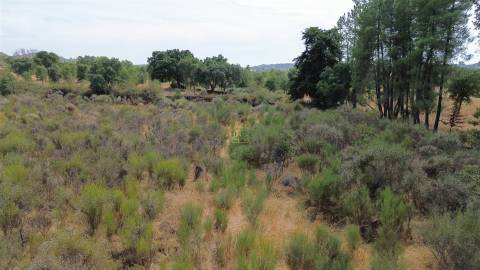 Terreno Rústico em Penamacor