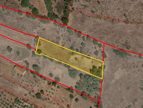 Quinta com área de 3250m2 e Construção Rural com 36m2 – a 10 minutos de Castelo Branco