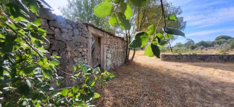 Quinta com área de 3250m2 e Construção Rural com 36m2 – a 10 minutos de Castelo Branco