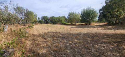 Quinta com área de 3250m2 e Construção Rural com 36m2 – a 10 minutos de Castelo Branco