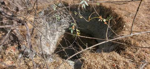 Quinta com área de 3250m2 e Construção Rural com 36m2 – a 10 minutos de Castelo Branco