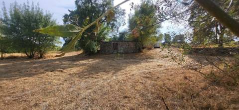 Quinta com área de 3250m2 e Construção Rural com 36m2 – a 10 minutos de Castelo Branco