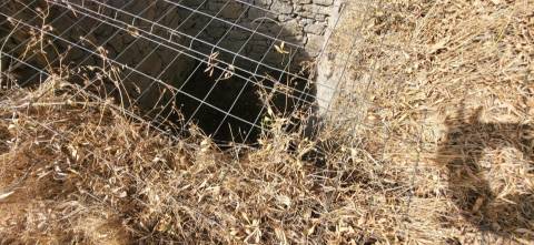 Quinta com área de 3250m2 e Construção Rural com 36m2 – a 10 minutos de Castelo Branco