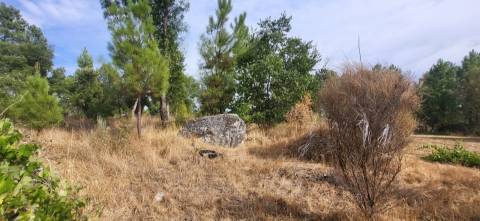 Quinta com área de 3250m2 e Construção Rural com 36m2 – a 10 minutos de Castelo Branco