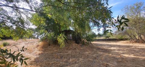 Quinta com área de 3250m2 e Construção Rural com 36m2 – a 10 minutos de Castelo Branco