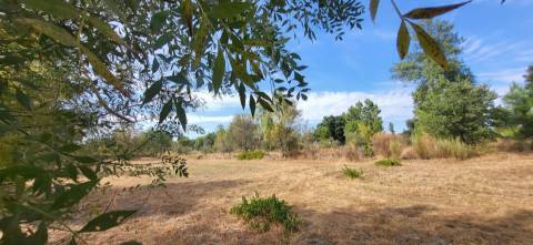 Quinta com área de 3250m2 e Construção Rural com 36m2 – a 10 minutos de Castelo Branco