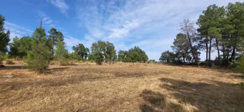 Quinta com área de 3250m2 e Construção Rural com 36m2 – a 10 minutos de Castelo Branco