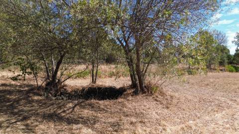 Quinta com área de 3250m2 e Construção Rural com 36m2 – a 10 minutos de Castelo Branco