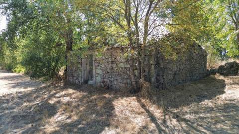 Quinta com área de 3250m2 e Construção Rural com 36m2 – a 10 minutos de Castelo Branco