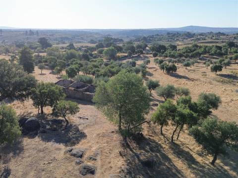 Quinta com Casa em Pedra (Urbana) para reconstruir
