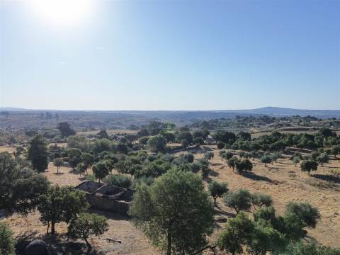 Quinta com Casa em Pedra (Urbana) para reconstruir