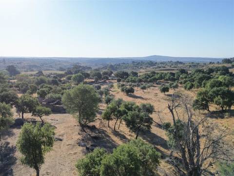 Quinta com Casa em Pedra (Urbana) para reconstruir