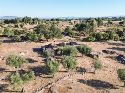 Quinta com Casa em Pedra (Urbana) para reconstruir