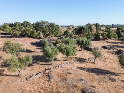 Quinta com Casa em Pedra (Urbana) para reconstruir