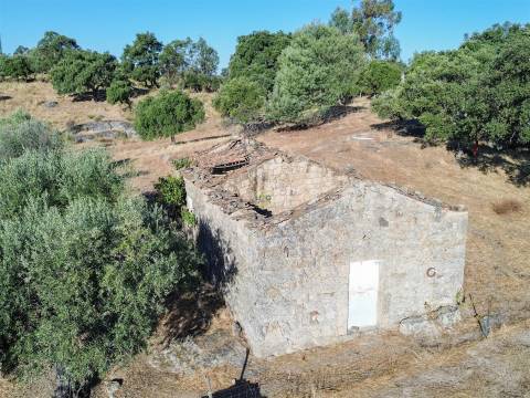 Quinta com Casa em Pedra (Urbana) para reconstruir