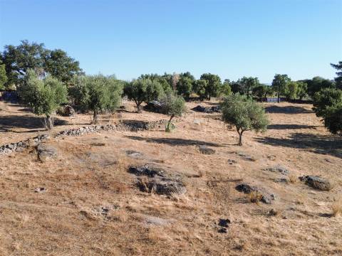 Quinta com Casa em Pedra (Urbana) para reconstruir