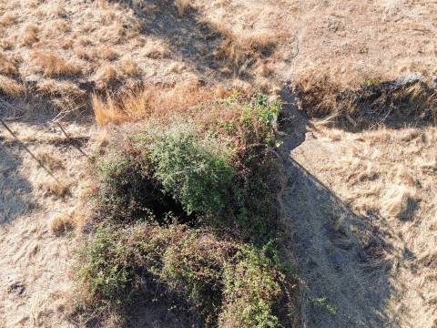 Quinta com Casa em Pedra (Urbana) para reconstruir