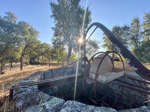 Quinta com Casa em Pedra (Urbana) para reconstruir