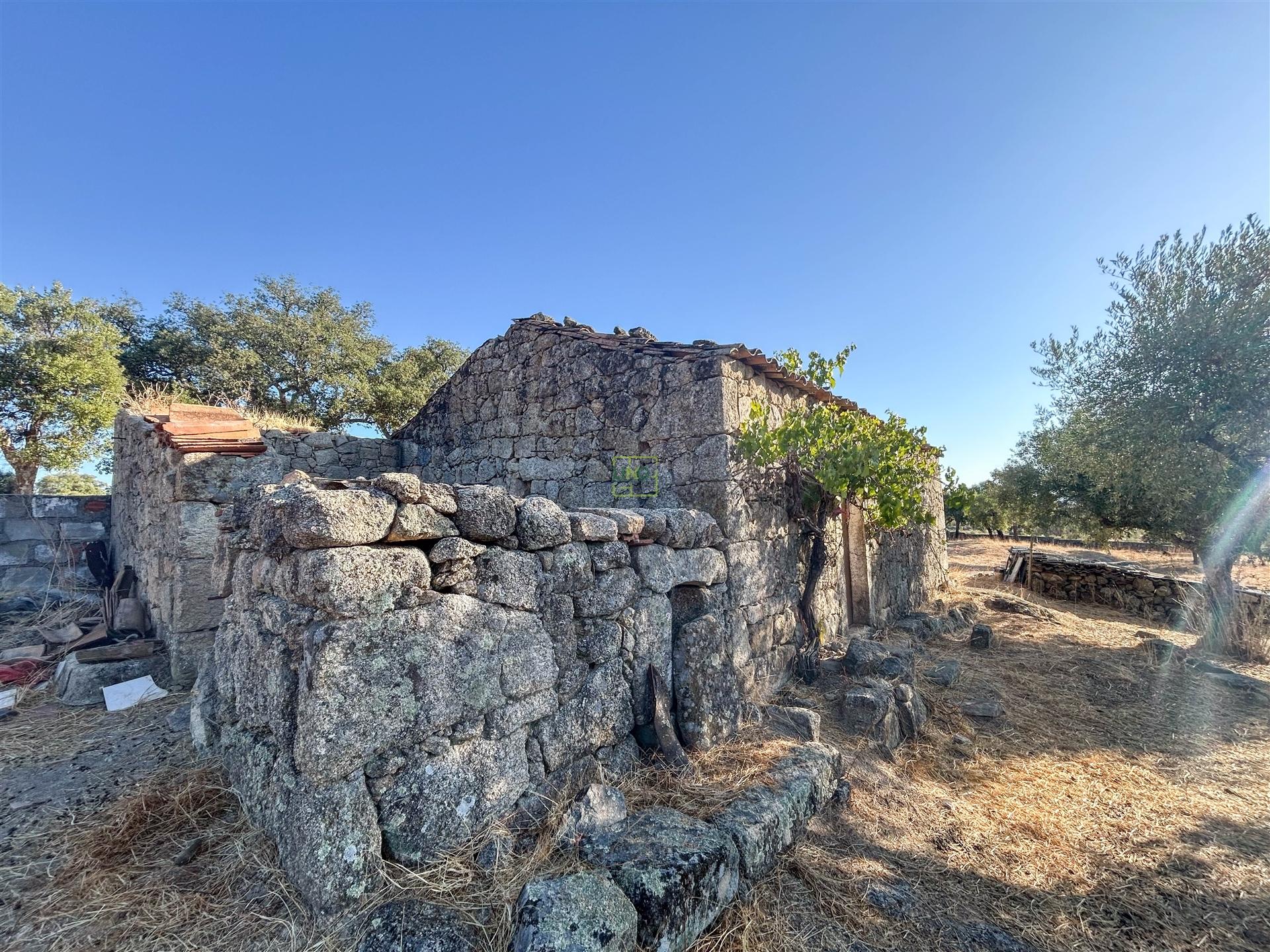 Quinta com Casa em Pedra (Urbana) para reconstruir