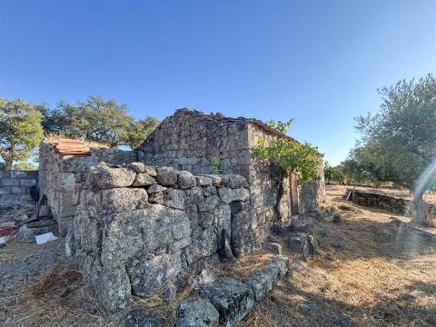Quinta com Casa em Pedra (Urbana) para reconstruir