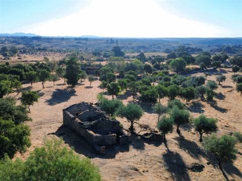 Quinta com Casa em Pedra (Urbana) para reconstruir