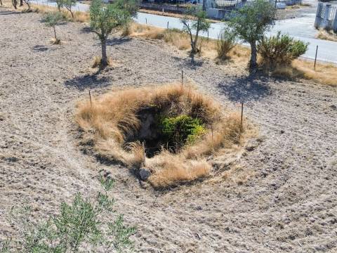 Terreno Rústico à Venda na Lardosa – 4750 m² com 4 Poços de Água