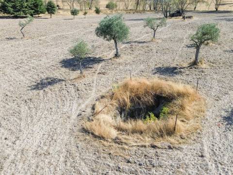Terreno Rústico à Venda na Lardosa – 4750 m² com 4 Poços de Água