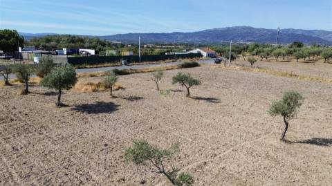 Terreno Rústico à Venda na Lardosa – 4750 m² com 4 Poços de Água