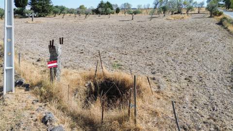 Terreno Rústico à Venda na Lardosa – 4750 m² com 4 Poços de Água