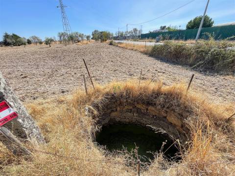 Terreno Rústico à Venda na Lardosa – 4750 m² com 4 Poços de Água