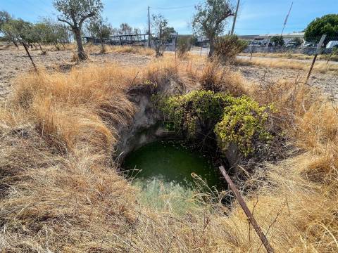Terreno Rústico à Venda na Lardosa – 4750 m² com 4 Poços de Água