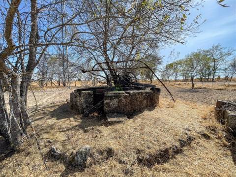 Terreno Rústico à Venda na Lardosa – 4750 m² com 4 Poços de Água